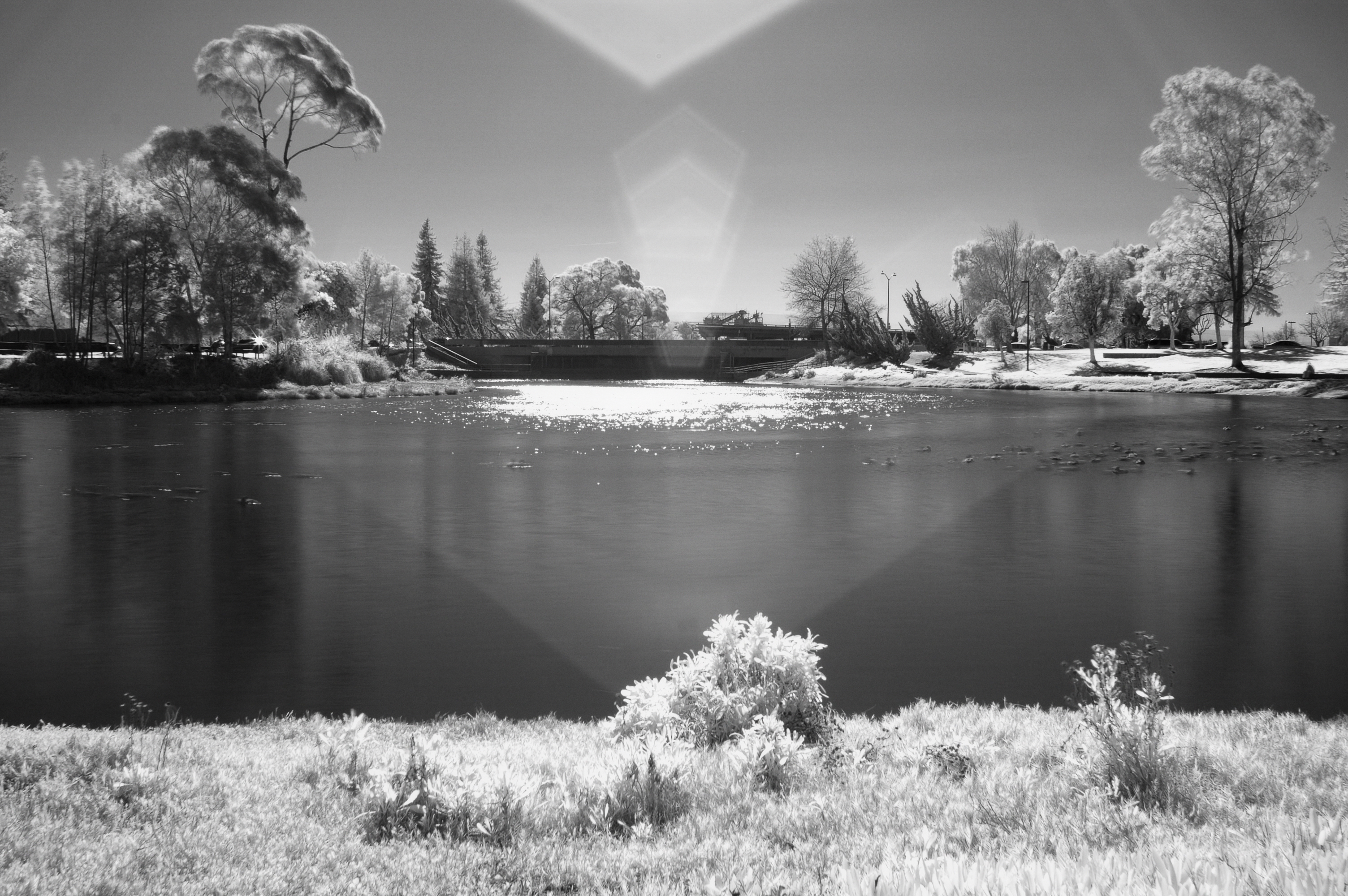 Black and white infrared photograph of a body of water bracketed by trees, with a flood control gate installation in the middle. Pentagonal lens flare creates an angular heartlike shape across the center of the frame.