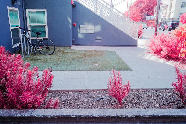 A color infrared photograph of a small L-shaped patch of astroturf with a bike parked on it, surrounded by live plants which appear pink.